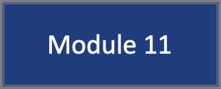 Module 11