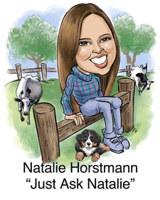 Virtual Bookkeeper