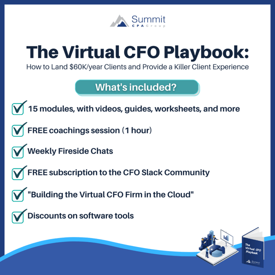 The Virtual CFO Playbook Inclusions