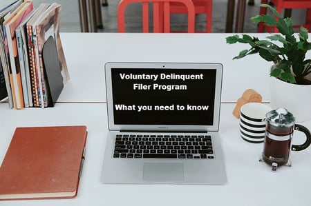 Voluntary Delinquent Filer Compliance Program