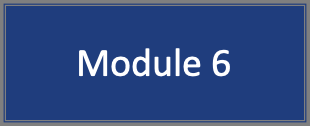 module6