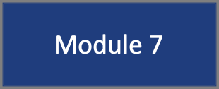 module7