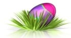 retro_egg_in_grass_pc_1701