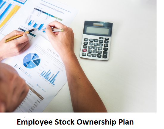 Deep Dive into Profit-Sharing Plans: Employee Stock Ownership Plans