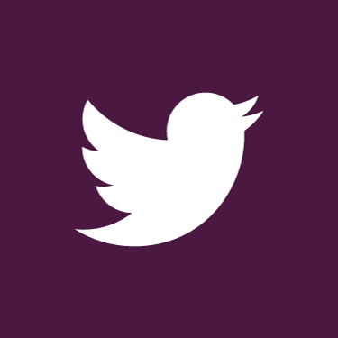 twitter pixel